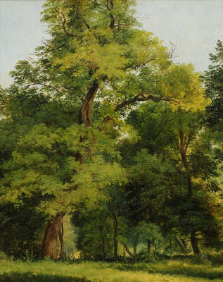 Каменев Лев Львович. Лесной пейзаж 